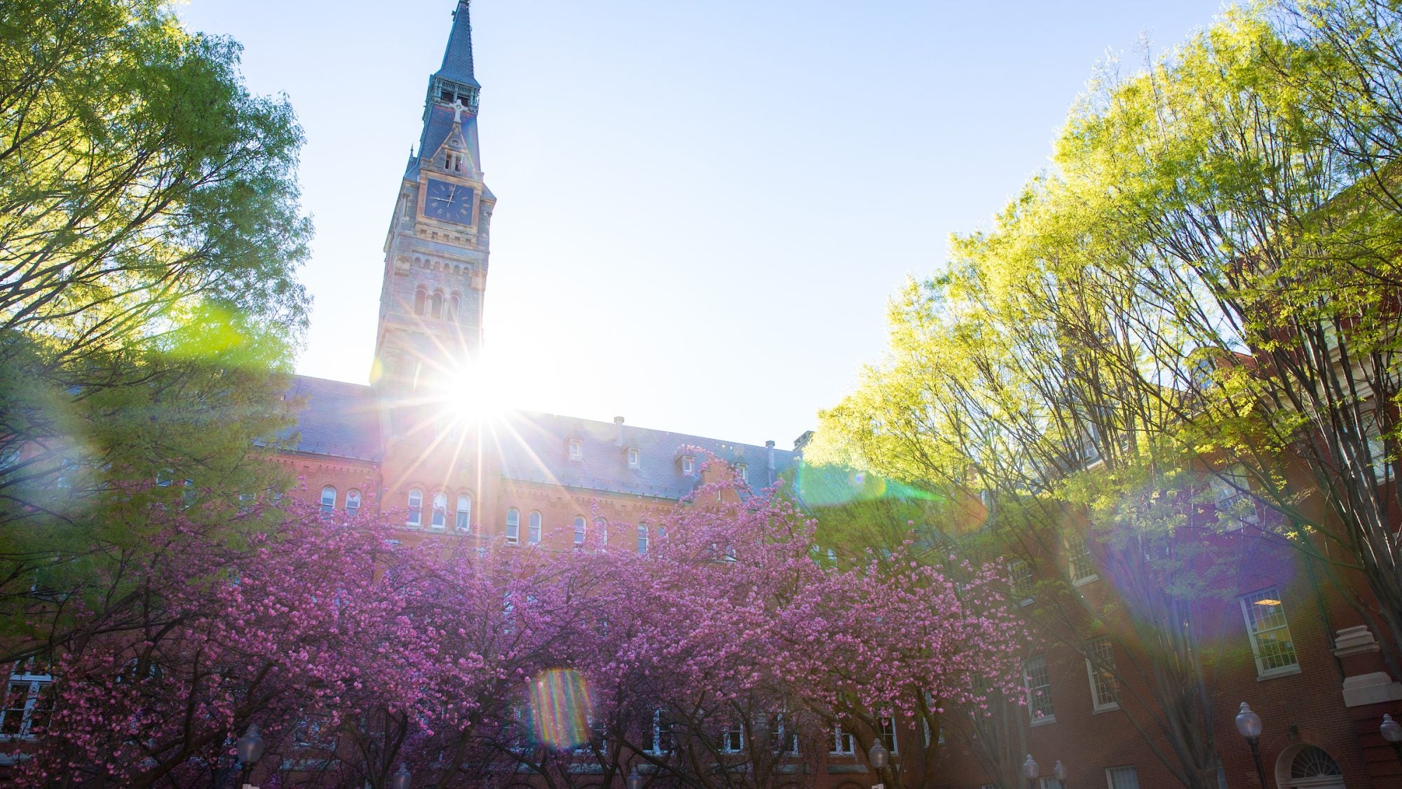 Sun flare behind Healy Hall during spring time