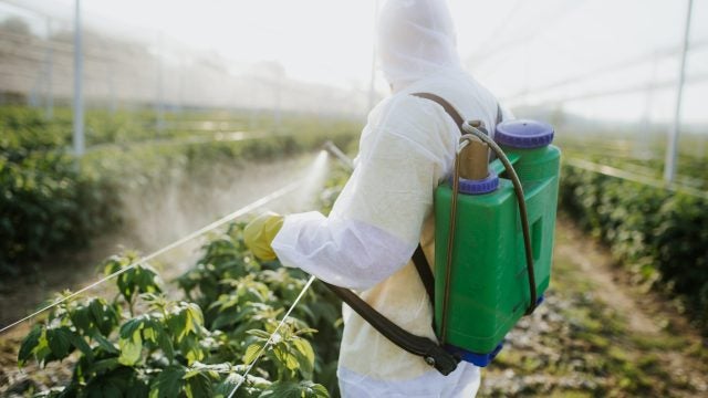 Worker in hazmat suit spraying pesticides