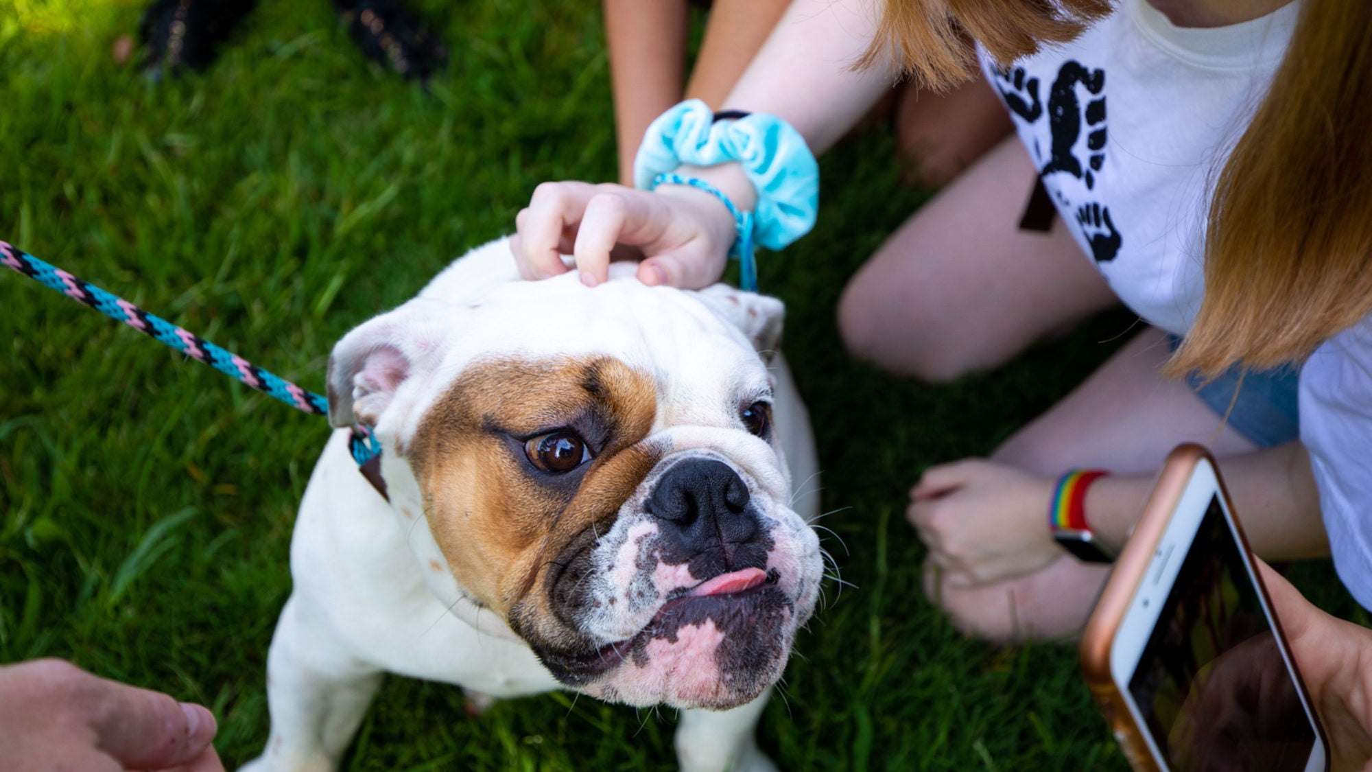 Students pet GA&#039;s newest Jack the Bulldog.